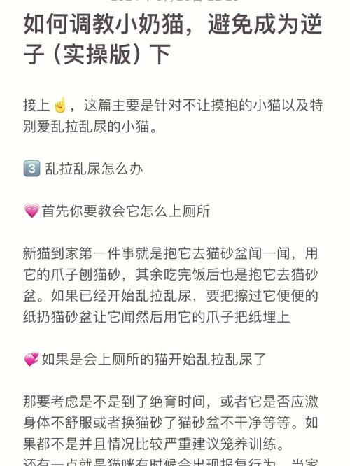 猫咪到处拉屎怎么办,猫咪到处拉屎怎么办啊?-第6张图片-后鲨宠物 猫咪到处拉屎怎么办,猫咪到处拉屎怎么办啊?-第6张图片-后鲨宠物