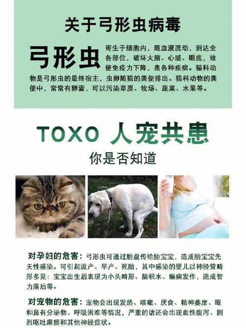 狗狗身上有弓形虫吗,狗狗身上到底有没有弓形虫?-第5张图片-后鲨宠物 狗狗身上有弓形虫吗,狗狗身上到底有没有弓形虫?-第5张图片-后鲨宠物