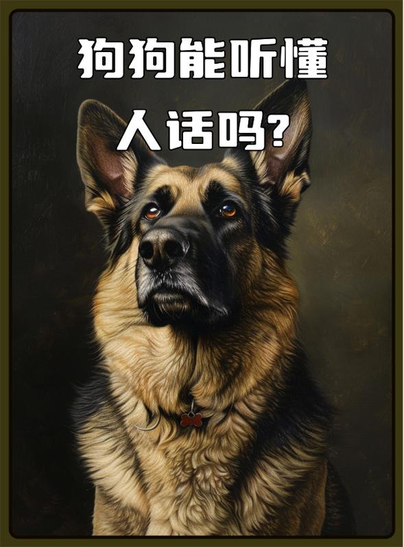 怎么在狗狗面前树立威信,怎么在狗狗面前树立威严?-第1张图片-后鲨宠物 怎么在狗狗面前树立威信,怎么在狗狗面前树立威严?-第1张图片-后鲨宠物