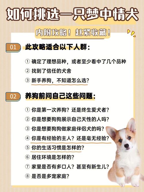 怎么在狗狗面前树立威信,怎么在狗狗面前树立威严?-第3张图片-后鲨宠物 怎么在狗狗面前树立威信,怎么在狗狗面前树立威严?-第3张图片-后鲨宠物