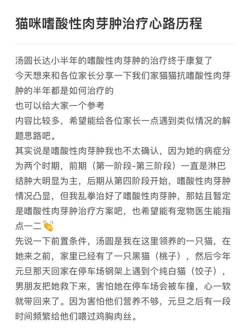 猫咪口腔肉芽肿怎么治疗,猫口腔肉芽是什么原因?-第5张图片-后鲨宠物 猫咪口腔肉芽肿怎么治疗,猫口腔肉芽是什么原因?-第5张图片-后鲨宠物