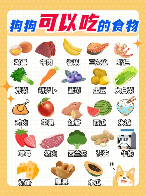 狗狗能吃瘦肉吗_狗狗能吃瘦猪肉吗-第6张图片-后鲨宠物 狗狗能吃瘦肉吗_狗狗能吃瘦猪肉吗-第6张图片-后鲨宠物