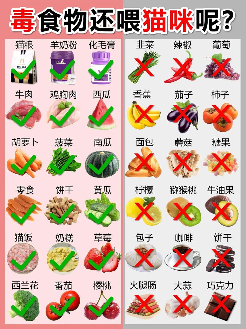 猫咪可以吃什么肉,猫咪可以吃什么肉和蔬菜-第6张图片-后鲨宠物 猫咪可以吃什么肉,猫咪可以吃什么肉和蔬菜-第6张图片-后鲨宠物