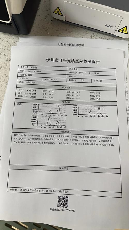 猫咪白细胞偏低_猫咪的白细胞低于多少算危险-第2张图片-后鲨宠物 猫咪白细胞偏低_猫咪的白细胞低于多少算危险-第2张图片-后鲨宠物