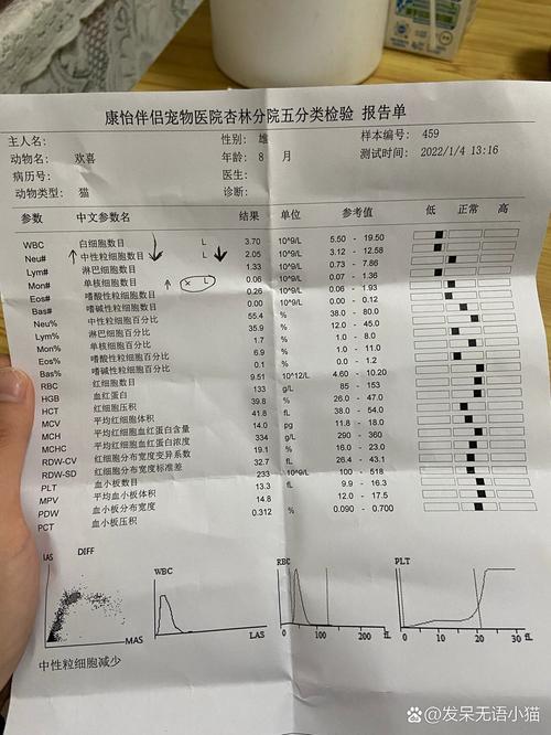 猫咪白细胞偏低_猫咪的白细胞低于多少算危险-第4张图片-后鲨宠物 猫咪白细胞偏低_猫咪的白细胞低于多少算危险-第4张图片-后鲨宠物