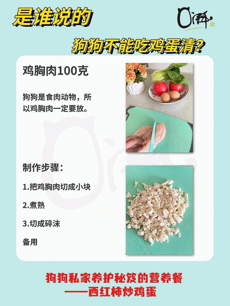 狗狗能吃鸡蛋清吗,狗狗能吃鸡蛋清吗6-第5张图片-后鲨宠物 狗狗能吃鸡蛋清吗,狗狗能吃鸡蛋清吗6-第5张图片-后鲨宠物