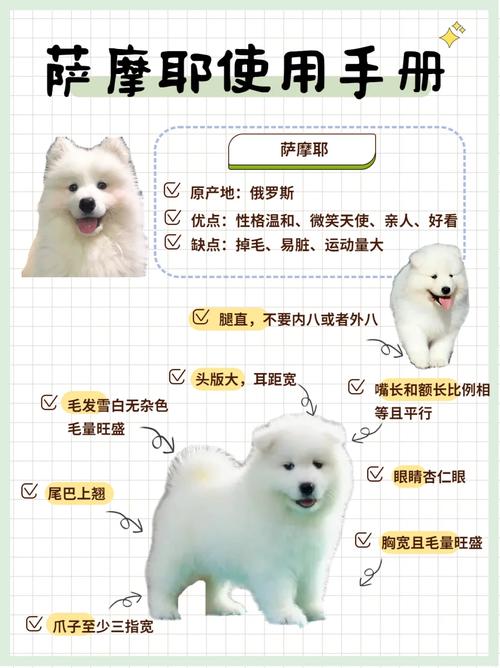 狗狗可以喝人的母乳吗_狗能喝人的母乳有说法吗-第3张图片-后鲨宠物 狗狗可以喝人的母乳吗_狗能喝人的母乳有说法吗-第3张图片-后鲨宠物