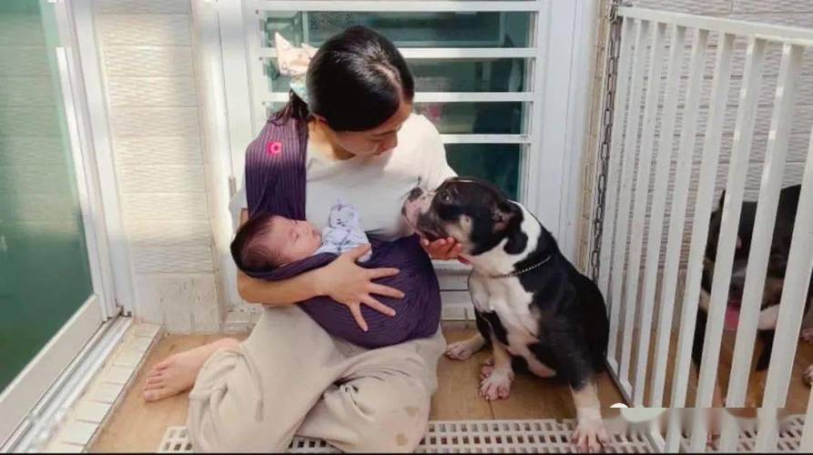 狗狗可以喝人的母乳吗_狗能喝人的母乳有说法吗-第6张图片-后鲨宠物 狗狗可以喝人的母乳吗_狗能喝人的母乳有说法吗-第6张图片-后鲨宠物