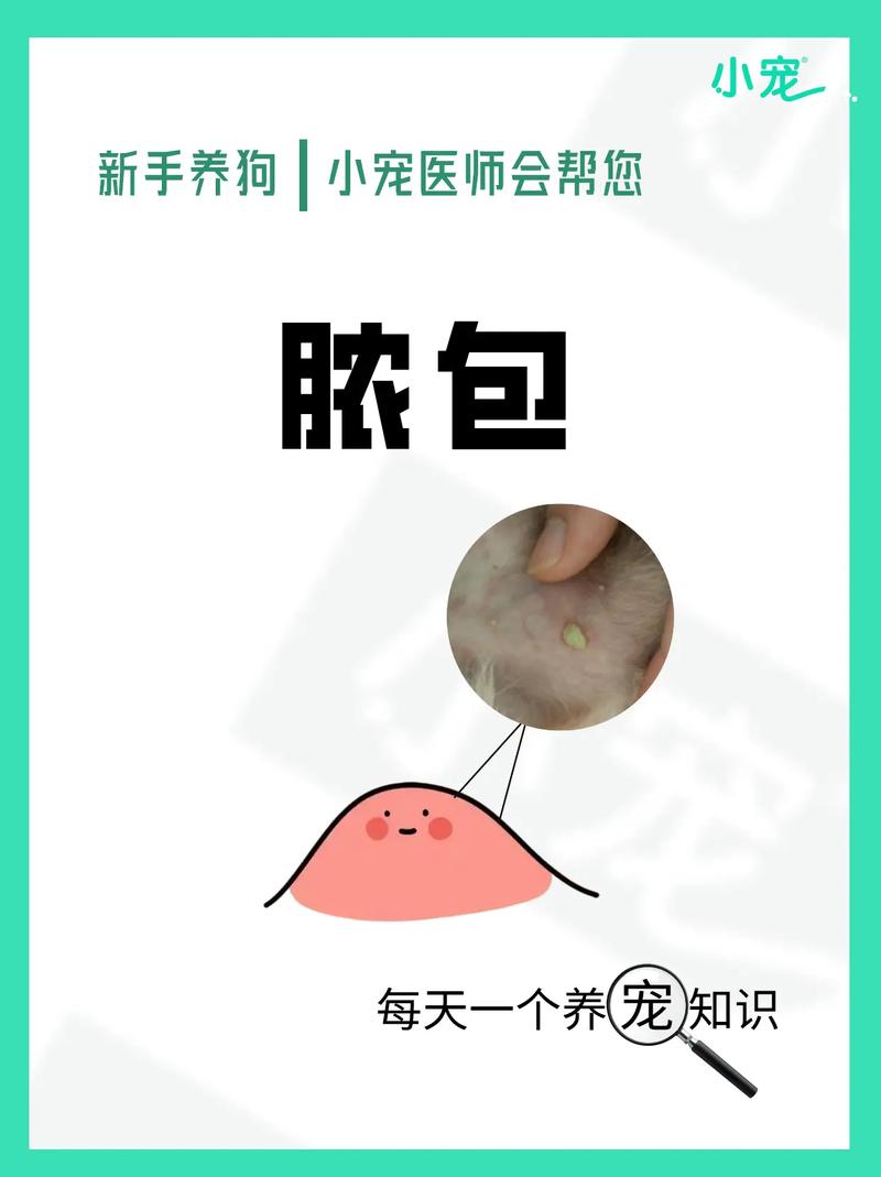 狗狗伤口化脓用什么药,狗狗伤口化脓用什么药比较好?-第3张图片-后鲨宠物 狗狗伤口化脓用什么药,狗狗伤口化脓用什么药比较好?-第3张图片-后鲨宠物