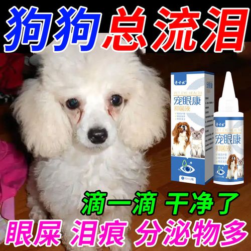  狗狗泪痕用什么眼药水，狗狗泪痕严重用什么眼药水好-第4张图片-后鲨宠物