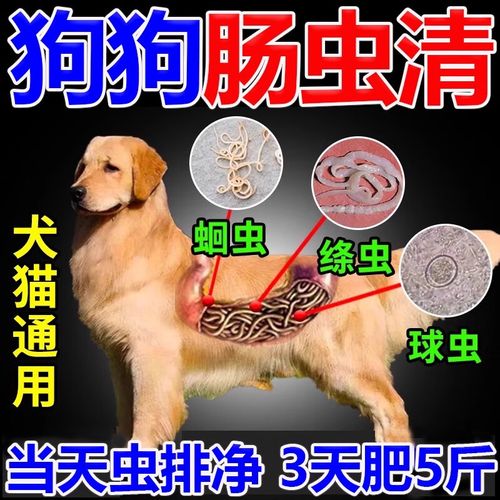 狗狗吃肠虫清一次几粒,小狗吃肠虫清的用法用量?-第2张图片-后鲨宠物 狗狗吃肠虫清一次几粒,小狗吃肠虫清的用法用量?-第2张图片-后鲨宠物