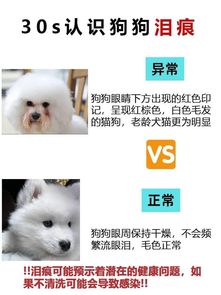 狗狗红色泪痕怎么洗掉，狗狗红色泪痕有什么组成如何破解？-第4张图片-后鲨宠物