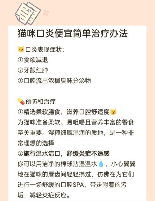  猫咪口炎如何在家治，猫咪口炎在家治疗用什么药-第2张图片-后鲨宠物