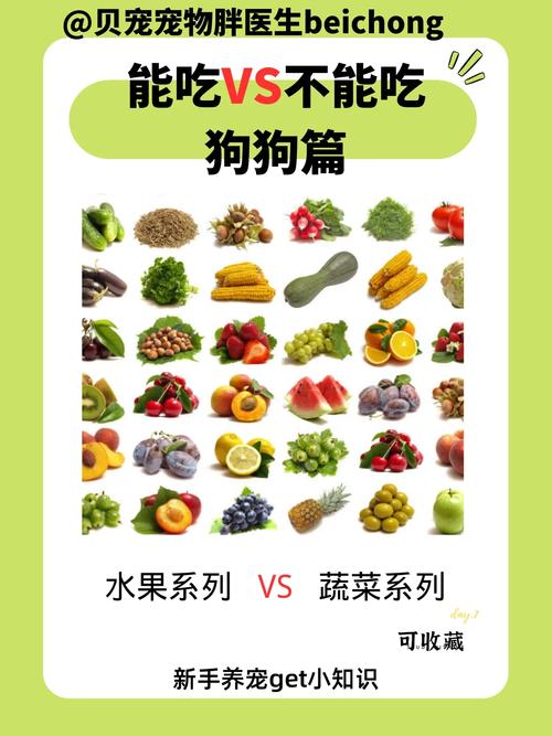 狗狗能吃卷心菜吗_小狗可以吃卷心菜吗-第2张图片-后鲨宠物 狗狗能吃卷心菜吗_小狗可以吃卷心菜吗-第2张图片-后鲨宠物