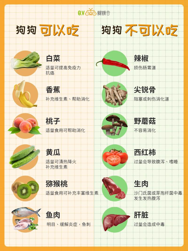 狗狗能吃卷心菜吗_小狗可以吃卷心菜吗-第4张图片-后鲨宠物 狗狗能吃卷心菜吗_小狗可以吃卷心菜吗-第4张图片-后鲨宠物