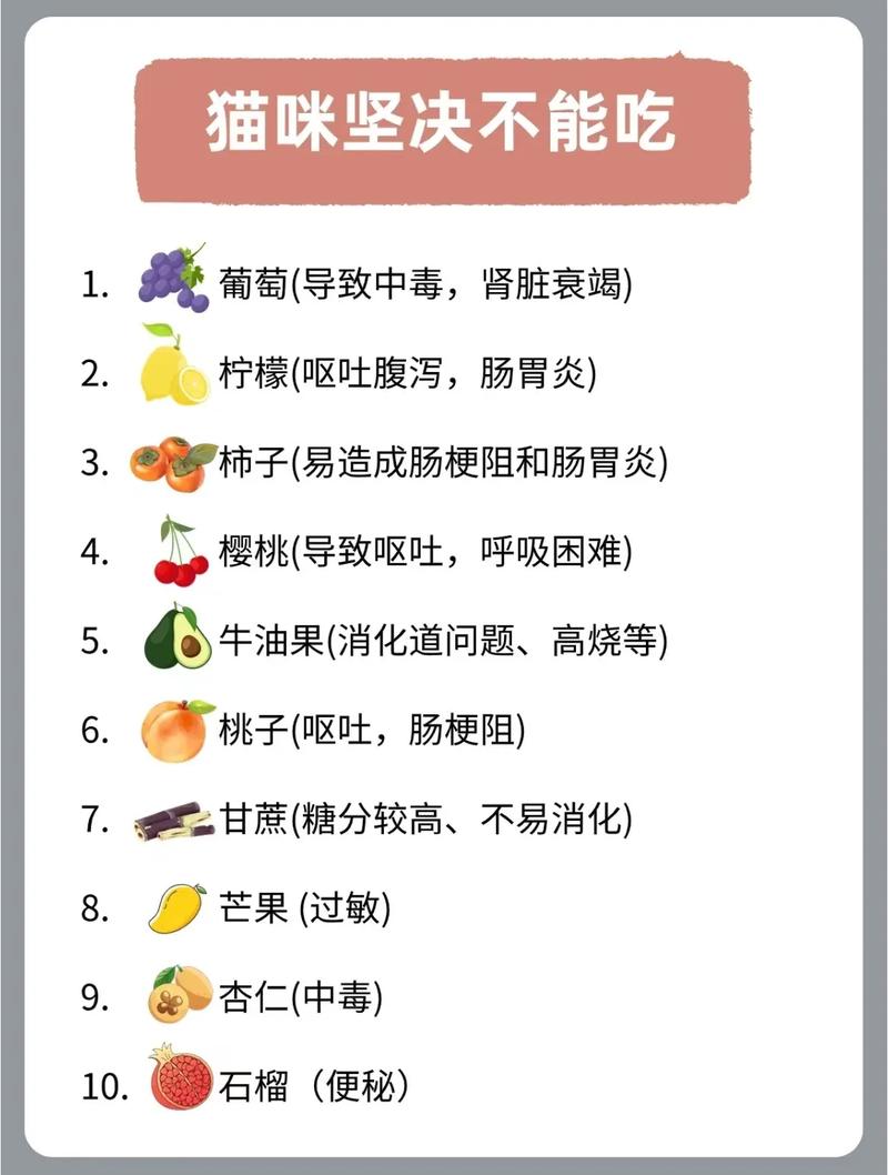 猫咪不可以吃什么,猫咪不可以吃什么水果-第4张图片-后鲨宠物 猫咪不可以吃什么,猫咪不可以吃什么水果-第4张图片-后鲨宠物