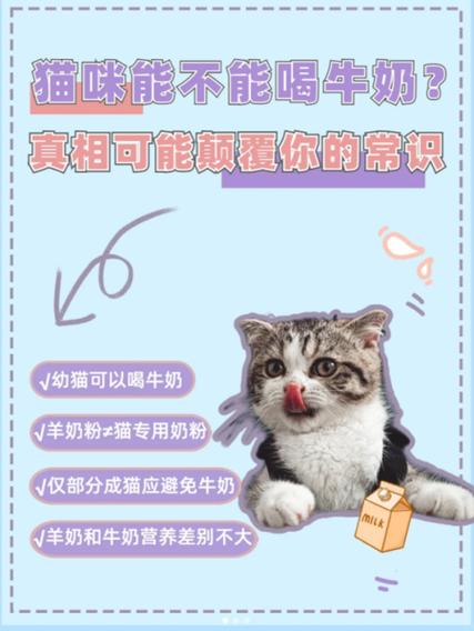 小猫咪可以喝牛奶吗,猫咪喝了牛奶怎么办?-第5张图片-后鲨宠物 小猫咪可以喝牛奶吗,猫咪喝了牛奶怎么办?-第5张图片-后鲨宠物