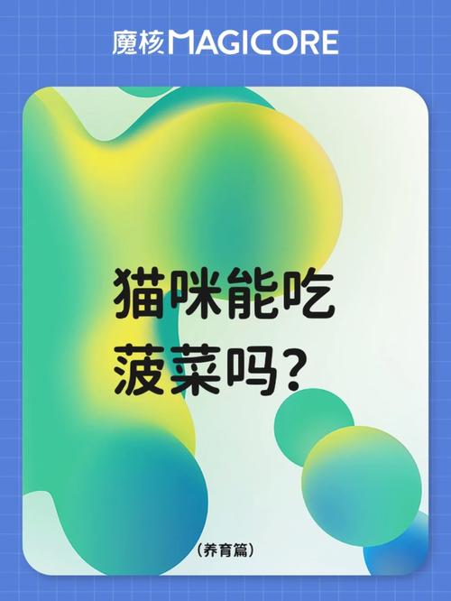 猫咪可以吃菠菜吗,小猫可以吃菠菜嘛?-第1张图片-后鲨宠物 猫咪可以吃菠菜吗,小猫可以吃菠菜嘛?-第1张图片-后鲨宠物