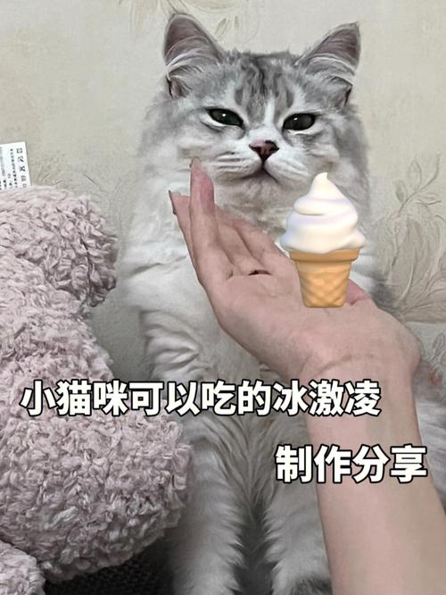  猫咪可以吃冰淇淋吗，猫可不可以吃冰淇淋-第5张图片-后鲨宠物