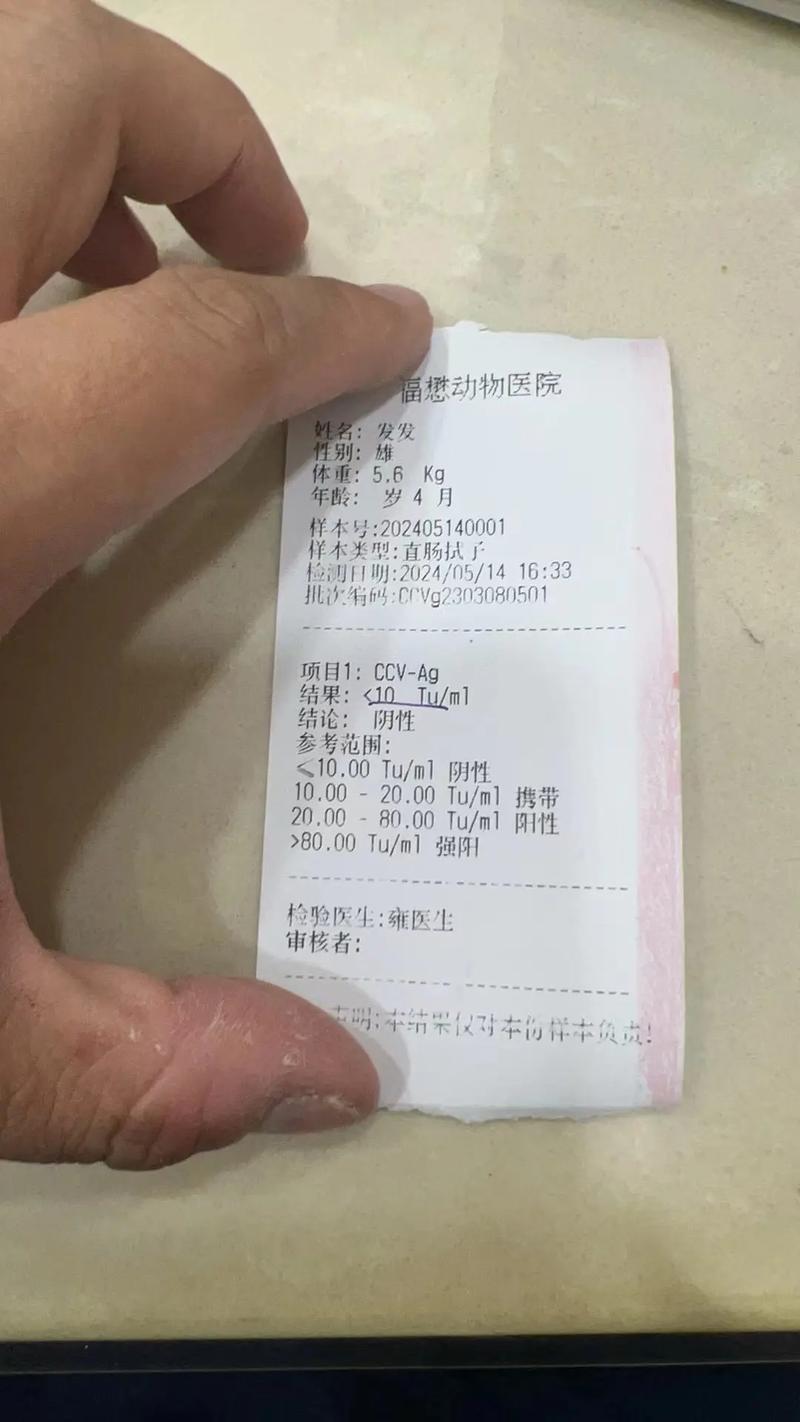 狗狗肠胃炎输液多少钱_狗狗肠胃炎输液多少钱一次-第4张图片-后鲨宠物 狗狗肠胃炎输液多少钱_狗狗肠胃炎输液多少钱一次-第4张图片-后鲨宠物