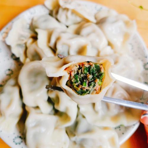 狗狗能吃茴香饺子吗_狗能吃茴香馅儿饺子吗-第1张图片-后鲨宠物 狗狗能吃茴香饺子吗_狗能吃茴香馅儿饺子吗-第1张图片-后鲨宠物