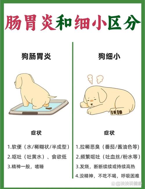 狗狗肠胃炎有什么症状,狗狗肠胃炎用什么药最管用-第5张图片-后鲨宠物 狗狗肠胃炎有什么症状,狗狗肠胃炎用什么药最管用-第5张图片-后鲨宠物