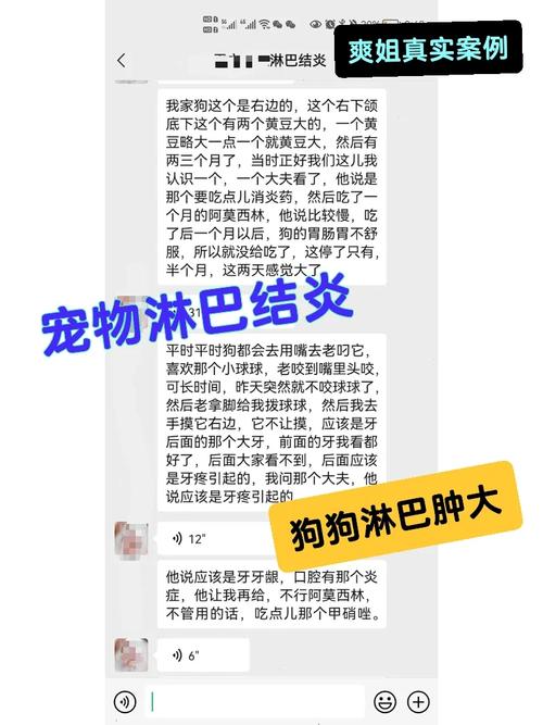 狗狗吃氟哌酸的作用,给狗吃氟哌酸管拉肚子嘛-第4张图片-后鲨宠物 狗狗吃氟哌酸的作用,给狗吃氟哌酸管拉肚子嘛-第4张图片-后鲨宠物