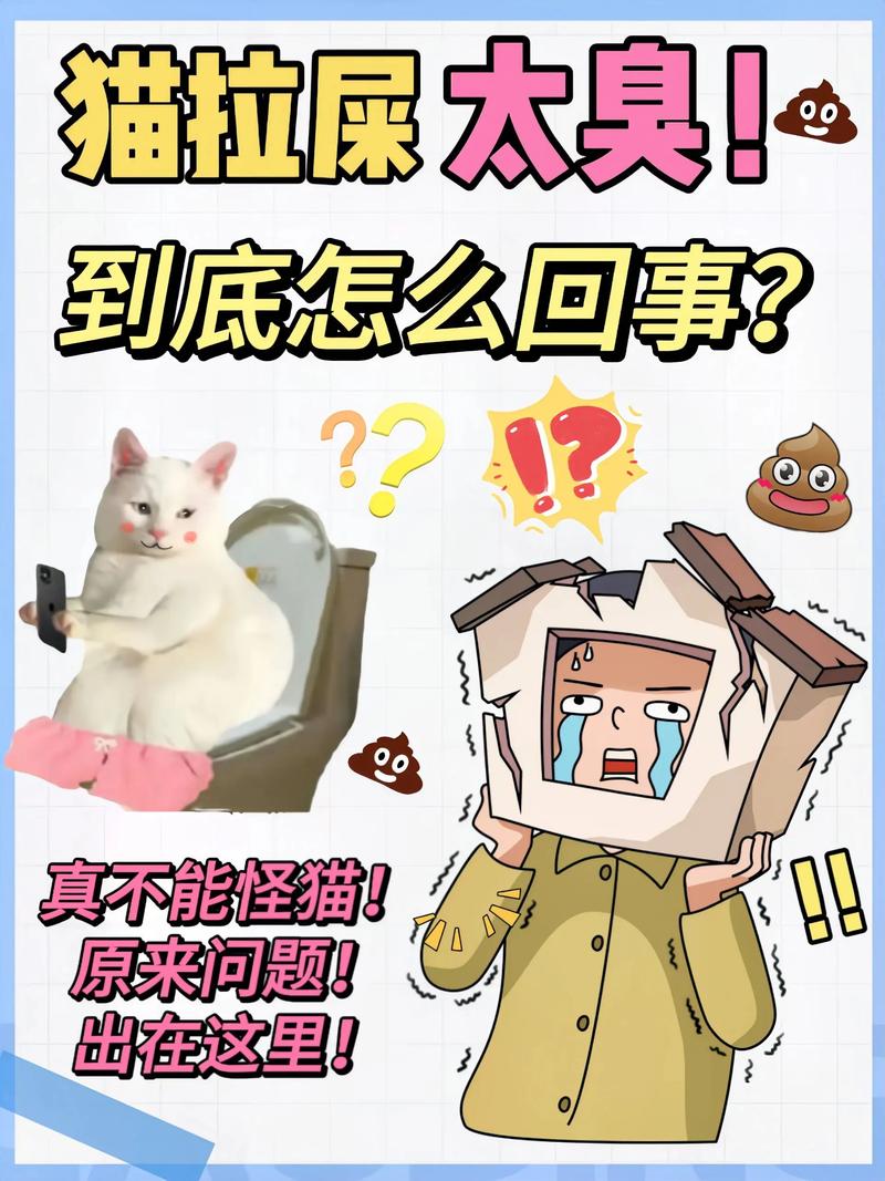 小猫咪拉不出屎怎么办,小猫拉不出来难受?-第1张图片-后鲨宠物 小猫咪拉不出屎怎么办,小猫拉不出来难受?-第1张图片-后鲨宠物