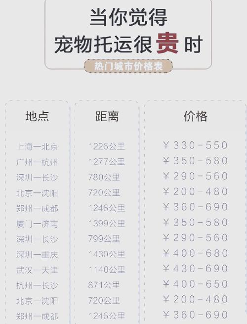 狗狗飞机托运多少钱,狗狗飞机托运要多少钱?-第1张图片-后鲨宠物 狗狗飞机托运多少钱,狗狗飞机托运要多少钱?-第1张图片-后鲨宠物