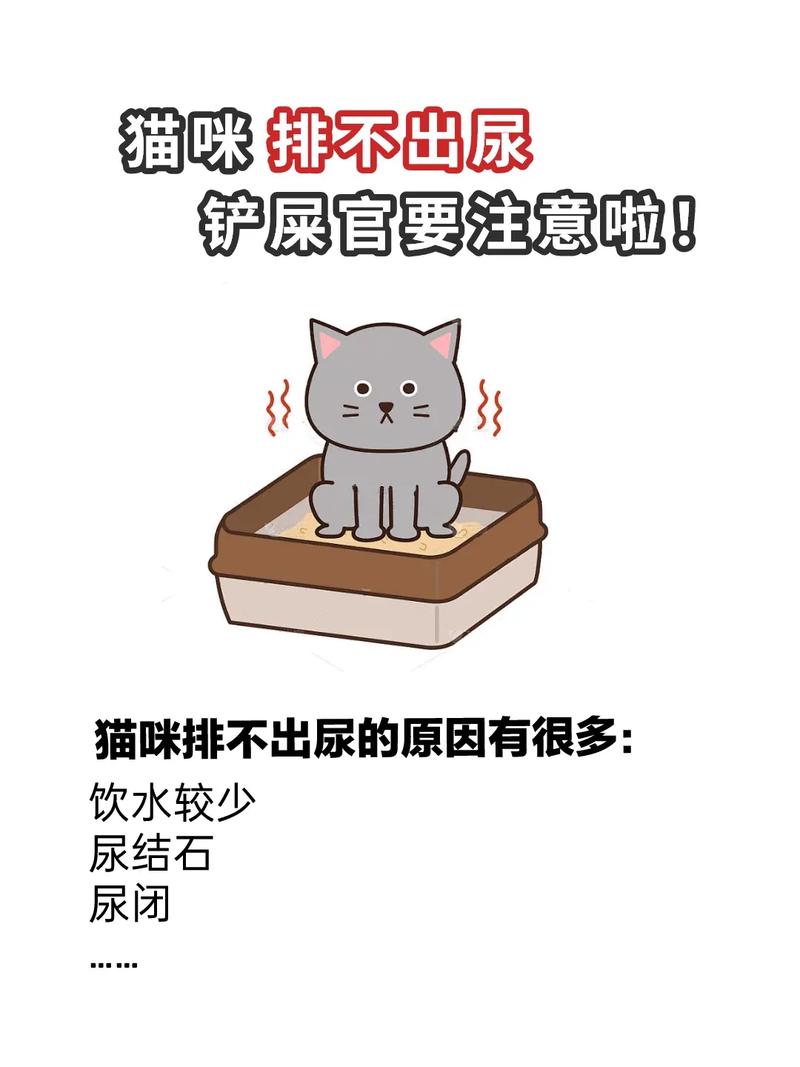 猫咪排尿困难怎么办,猫咪排尿不畅?-第1张图片-后鲨宠物 猫咪排尿困难怎么办,猫咪排尿不畅?-第1张图片-后鲨宠物