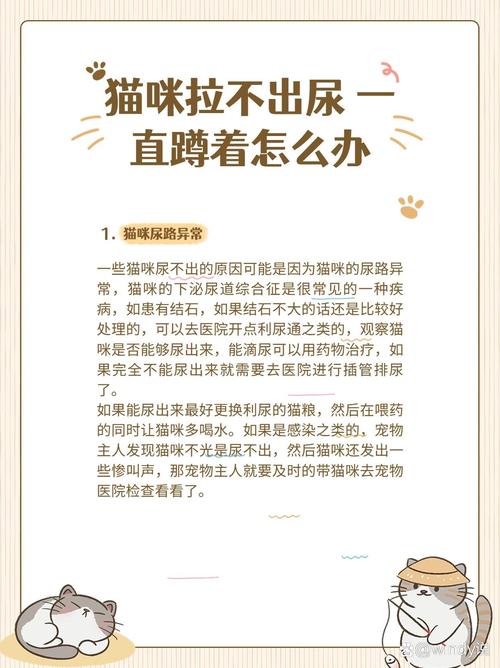 猫咪排尿困难怎么办,猫咪排尿不畅?-第3张图片-后鲨宠物 猫咪排尿困难怎么办,猫咪排尿不畅?-第3张图片-后鲨宠物