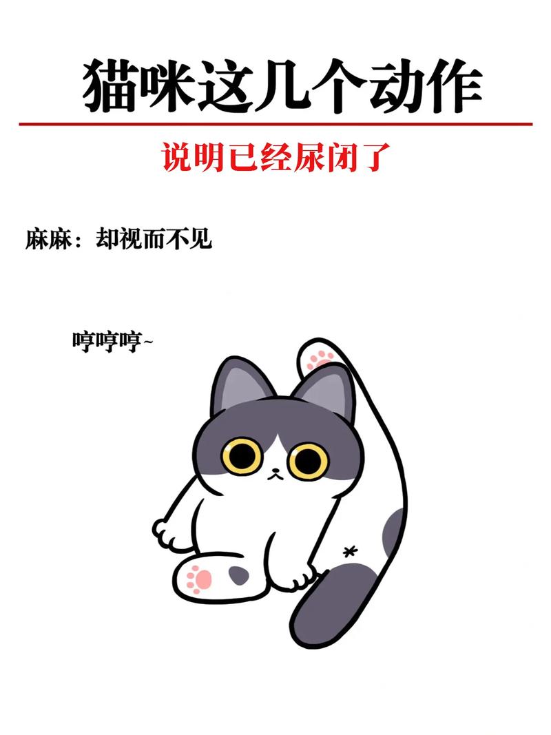 猫咪排尿困难怎么办,猫咪排尿不畅?-第4张图片-后鲨宠物 猫咪排尿困难怎么办,猫咪排尿不畅?-第4张图片-后鲨宠物