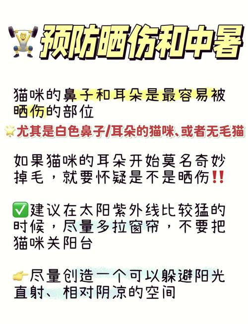  猫咪夏天要开空调吗，猫咪夏天需要开空调吗-第2张图片-后鲨宠物