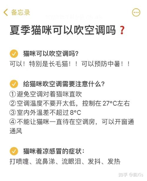 猫咪夏天要开空调吗，猫咪夏天需要开空调吗-第4张图片-后鲨宠物
