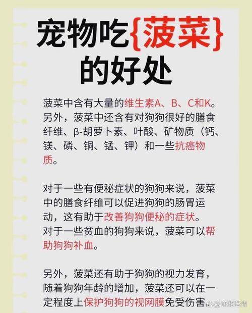 狗狗能吃菠菜么,狗能吃菠菜?-第3张图片-后鲨宠物 狗狗能吃菠菜么,狗能吃菠菜?-第3张图片-后鲨宠物