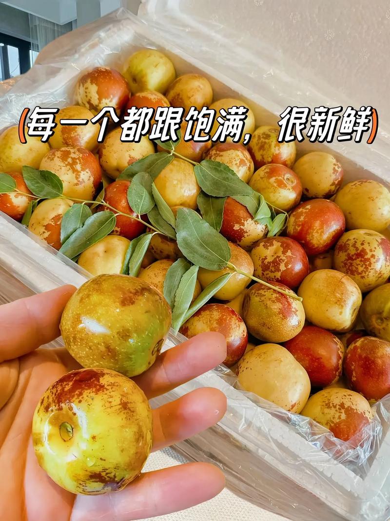 猫咪可以吃红枣吗,猫咪可以吃红枣吗干的?-第4张图片-后鲨宠物 猫咪可以吃红枣吗,猫咪可以吃红枣吗干的?-第4张图片-后鲨宠物