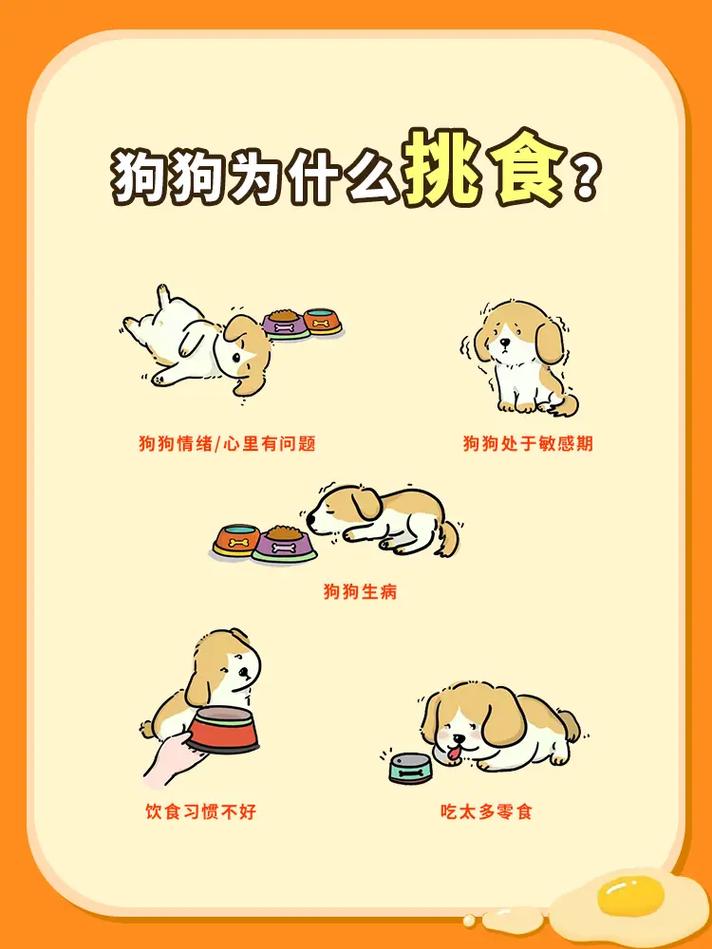 狗狗不吃蔬菜怎么办_狗狗不吃蔬菜怎么办视频-第1张图片-后鲨宠物 狗狗不吃蔬菜怎么办_狗狗不吃蔬菜怎么办视频-第1张图片-后鲨宠物