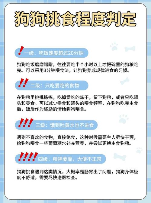 狗狗不吃蔬菜怎么办_狗狗不吃蔬菜怎么办视频-第2张图片-后鲨宠物 狗狗不吃蔬菜怎么办_狗狗不吃蔬菜怎么办视频-第2张图片-后鲨宠物