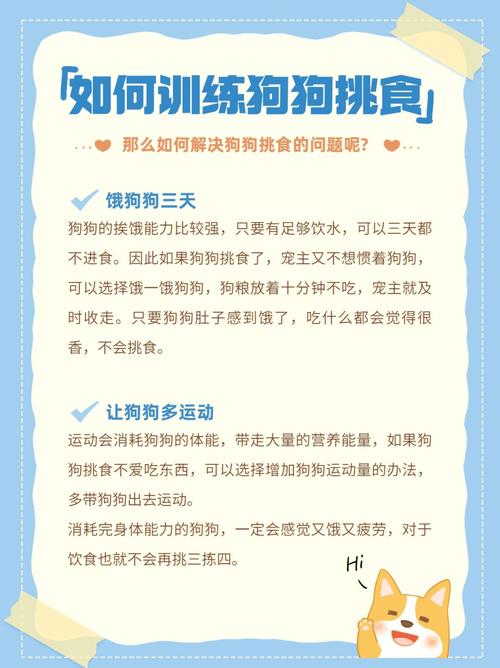 狗狗不吃蔬菜怎么办_狗狗不吃蔬菜怎么办视频-第5张图片-后鲨宠物 狗狗不吃蔬菜怎么办_狗狗不吃蔬菜怎么办视频-第5张图片-后鲨宠物