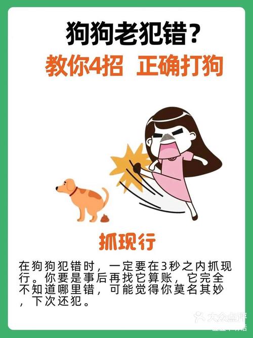 怎么训练狗狗不追人_怎么训练狗狗不追电瓶车-第4张图片-后鲨宠物 怎么训练狗狗不追人_怎么训练狗狗不追电瓶车-第4张图片-后鲨宠物