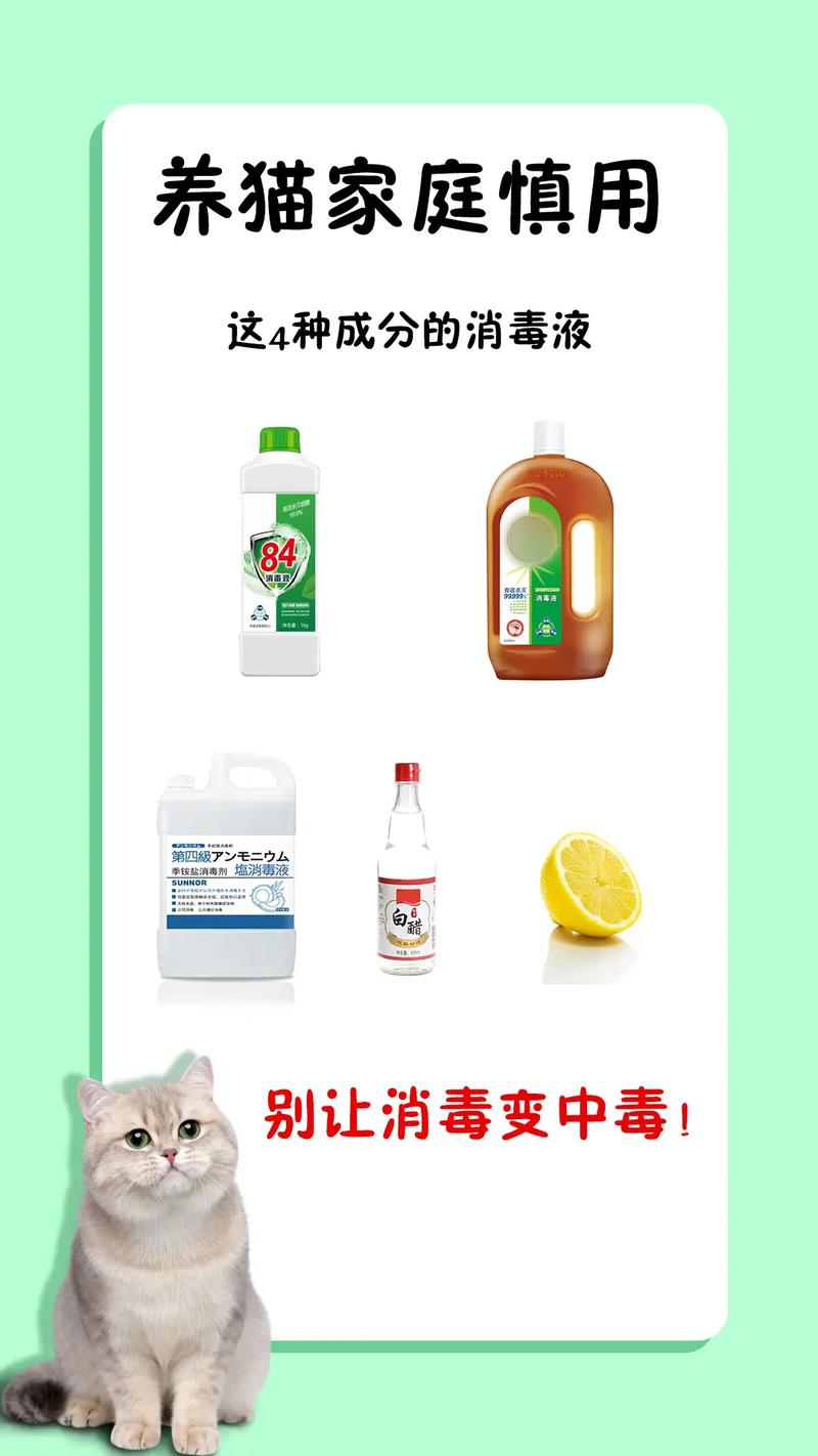 家里养猫咪用什么消毒,家里养猫咪用什么给家里消毒?-第4张图片-后鲨宠物 家里养猫咪用什么消毒,家里养猫咪用什么给家里消毒?-第4张图片-后鲨宠物