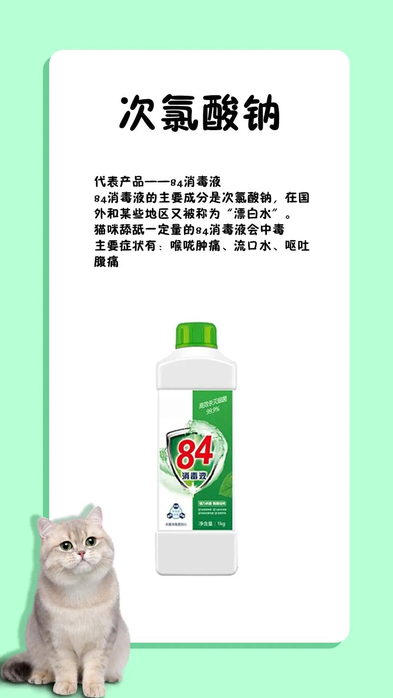 家里养猫咪用什么消毒,家里养猫咪用什么给家里消毒?-第6张图片-后鲨宠物 家里养猫咪用什么消毒,家里养猫咪用什么给家里消毒?-第6张图片-后鲨宠物