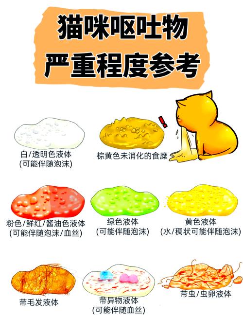 猫咪不吃不喝吐黄水_猫咪不吃不喝吐黄水是什么原因-第4张图片-后鲨宠物 猫咪不吃不喝吐黄水_猫咪不吃不喝吐黄水是什么原因-第4张图片-后鲨宠物