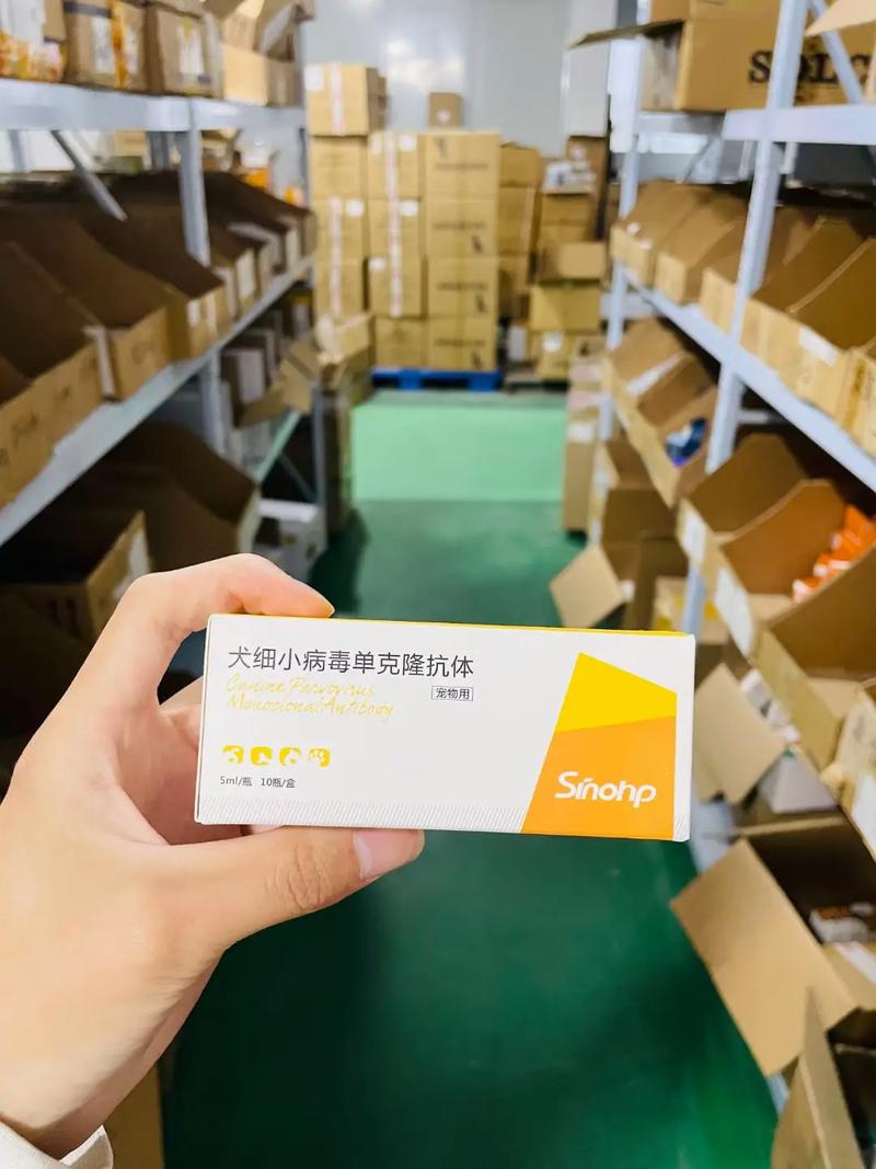 狗狗得了细小用什么药,狗狗得了细小用什么药保护肠胃?-第1张图片-后鲨宠物 狗狗得了细小用什么药,狗狗得了细小用什么药保护肠胃?-第1张图片-后鲨宠物