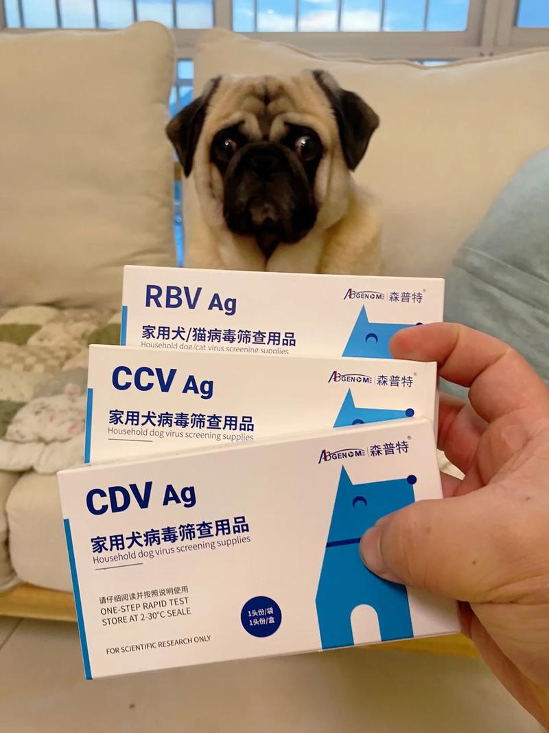 狗狗得了细小用什么药,狗狗得了细小用什么药保护肠胃?-第4张图片-后鲨宠物 狗狗得了细小用什么药,狗狗得了细小用什么药保护肠胃?-第4张图片-后鲨宠物