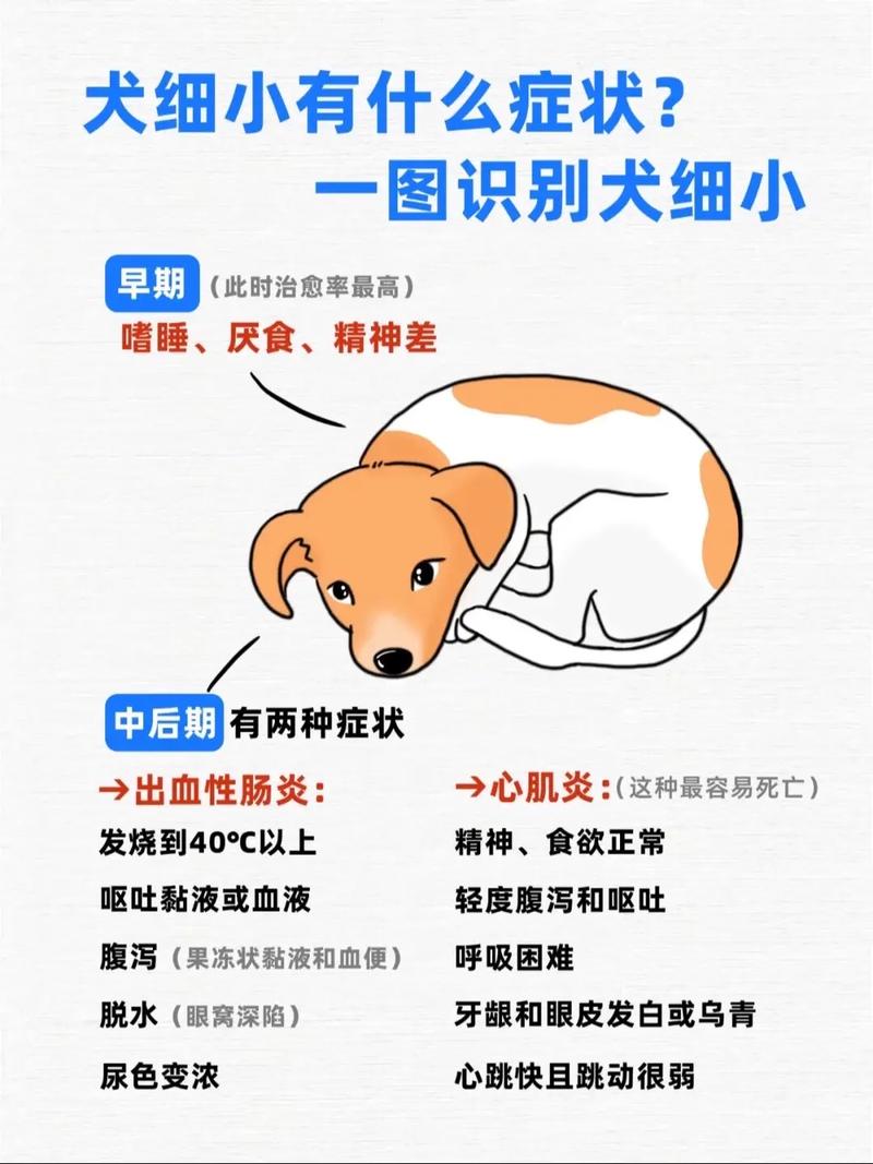  狗狗得细小什么症状，狗狗得细小什么症状是恢复期-第3张图片-后鲨宠物