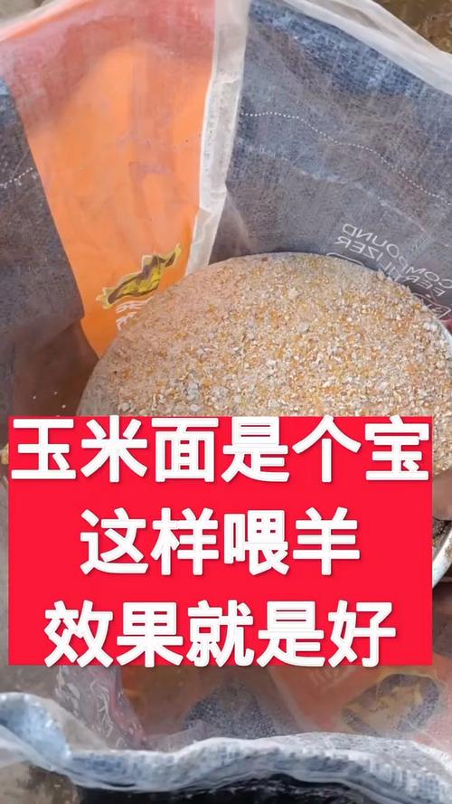 玉米面怎么给狗狗吃,玉米面怎么弄给狗吃?-第5张图片-后鲨宠物 玉米面怎么给狗狗吃,玉米面怎么弄给狗吃?-第5张图片-后鲨宠物