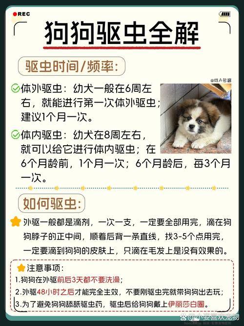 狗狗肚子有虫子吃什么药,宠物狗肚子有虫吃什么药-第1张图片-后鲨宠物 狗狗肚子有虫子吃什么药,宠物狗肚子有虫吃什么药-第1张图片-后鲨宠物