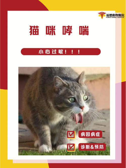 猫咪肺部感染症状_猫咪肺部感染有什么症状-第2张图片-后鲨宠物 猫咪肺部感染症状_猫咪肺部感染有什么症状-第2张图片-后鲨宠物