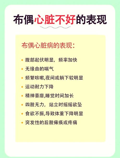 猫咪肺部感染症状_猫咪肺部感染有什么症状-第4张图片-后鲨宠物 猫咪肺部感染症状_猫咪肺部感染有什么症状-第4张图片-后鲨宠物